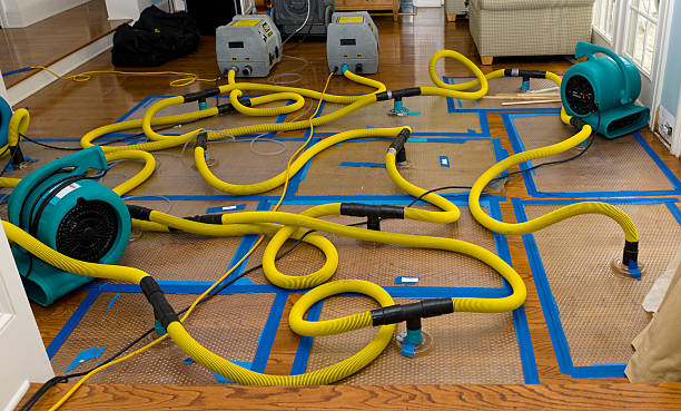 Professional Flood Damage Restoration technician working in Tallassee, AL